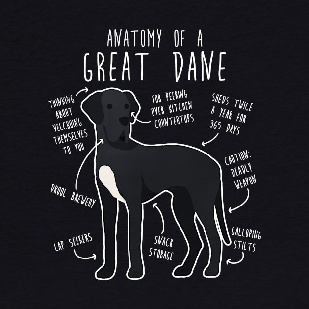 Black Great Dane Dog Anatomy by Psitta